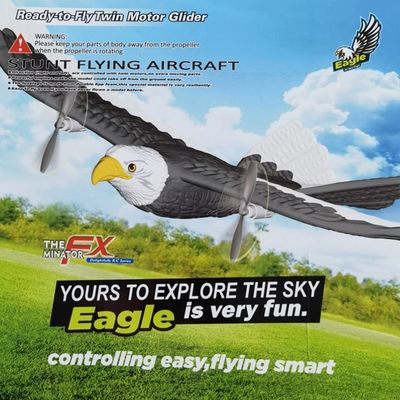 405mm προσομοίωση άνοιγμα φτερών Flying Eagle αεροσκάφος 2.4g Ραδιοχειριστικό αεροπλάνο για ψυχαγωγία